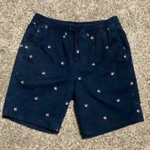 Casual Chino Style Drawstring Shorts